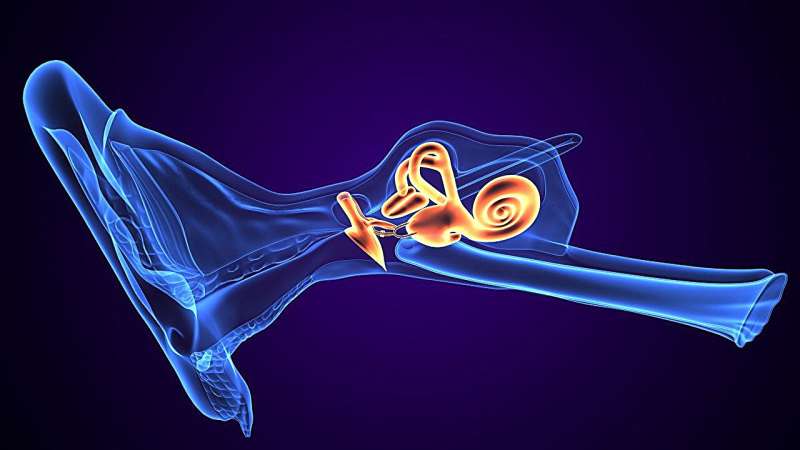 Membranous labyrinth distension seen in MRI of meniere disease