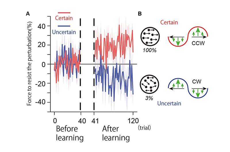 Learning to act in the face of uncertainty