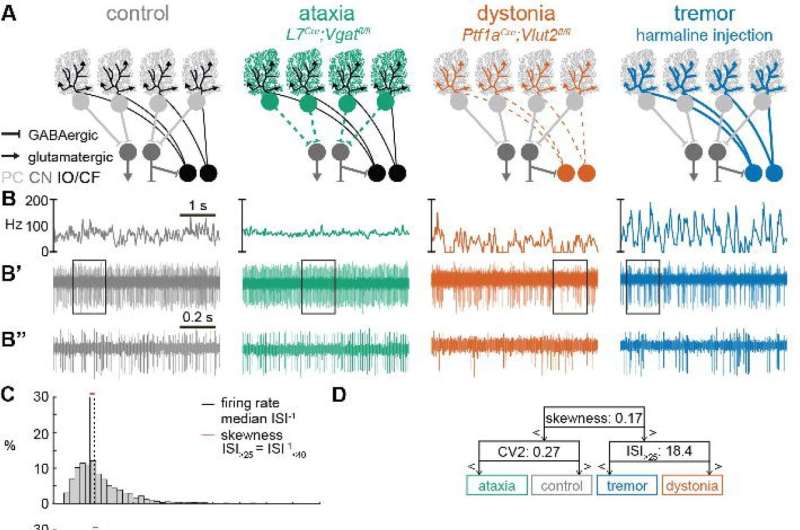 Cracking the code for cerebellar movement disorders