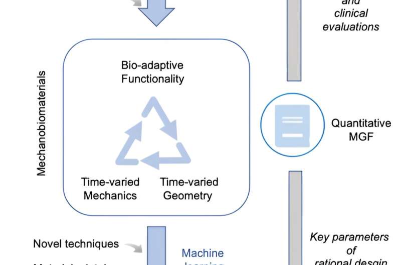 Mechanobiomaterials: A rising field using mechanobiology principles to program functional biomaterials