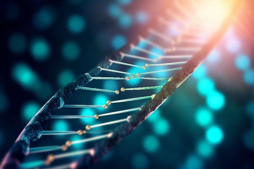 representation-human-dna-chain