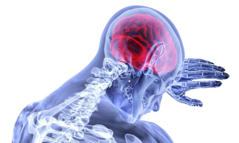 International study uncovers a molecule that could alleviate stroke-related brain injury