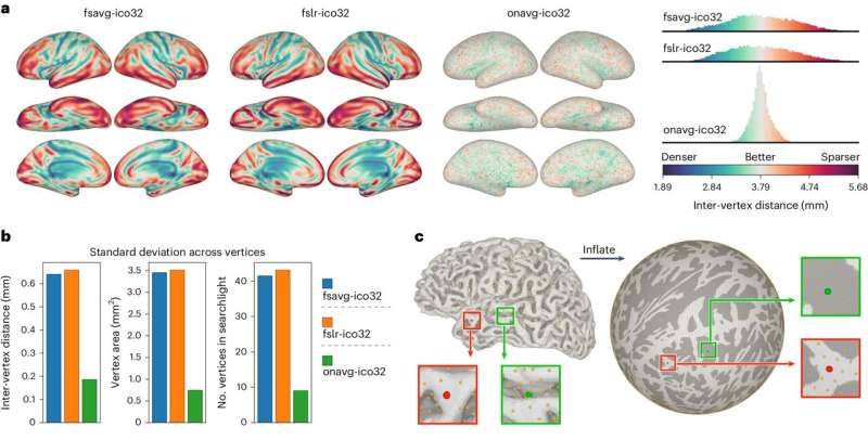 New template of the human brain enhances neuroimaging data analysis