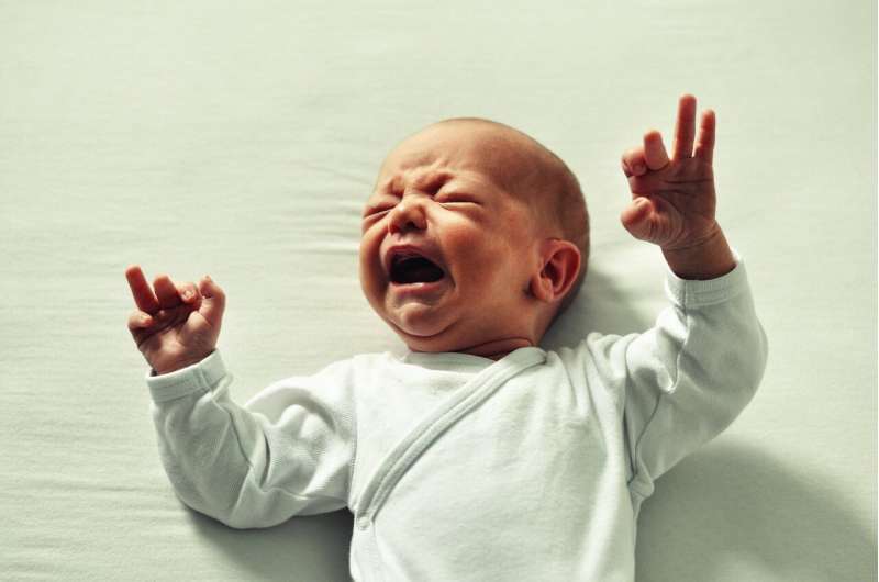 Acoustic analysis of pre-term babies' cries shows they are as developmentally healthy as full-term babies