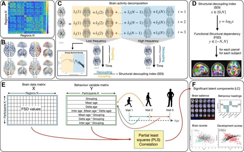 An over- or under-synchronized brain may predict psychosis