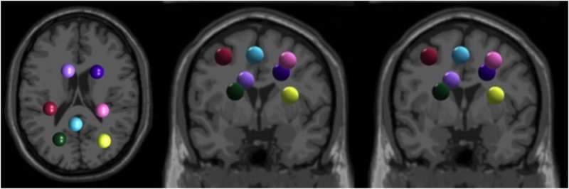 How our brains learn new athletic skills fast: Investigating electrocortical activity and faster locomotor adaptation