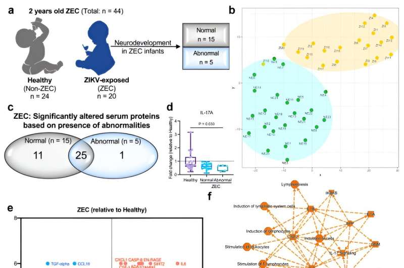 Prenatal Zika infection has long-term immune consequences in children, even without microcephaly