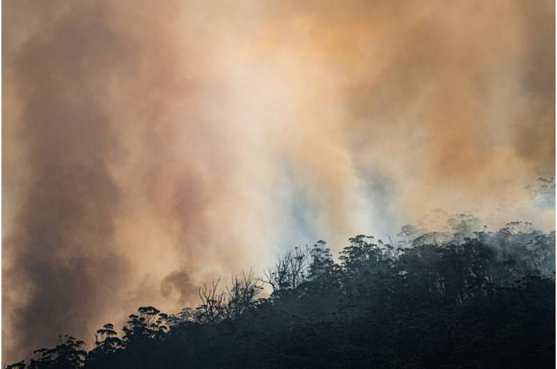 Bushfire smoke sparks surges in Western Australia hospital admissions