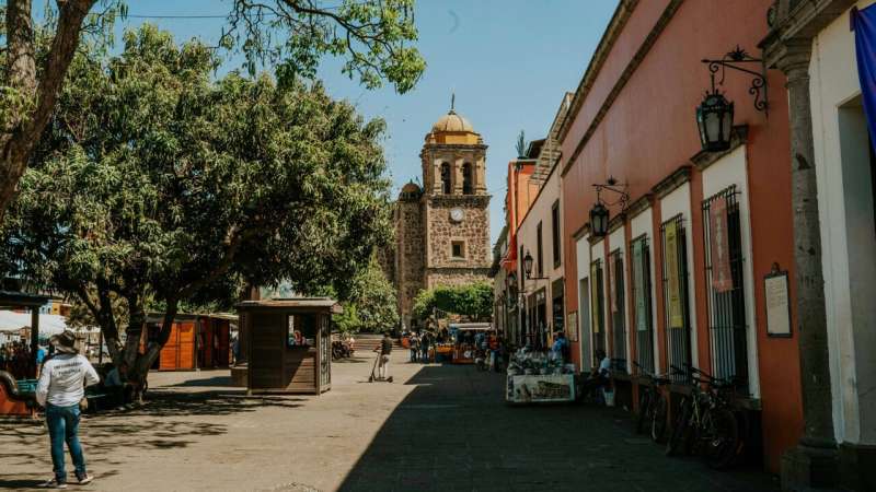 Bringing forests to the city: 10 ways planting trees improves health in urban centers