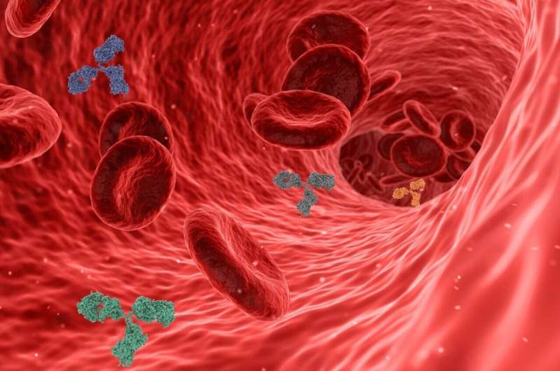 Researchers use waves to quantify blood vessels' architecture