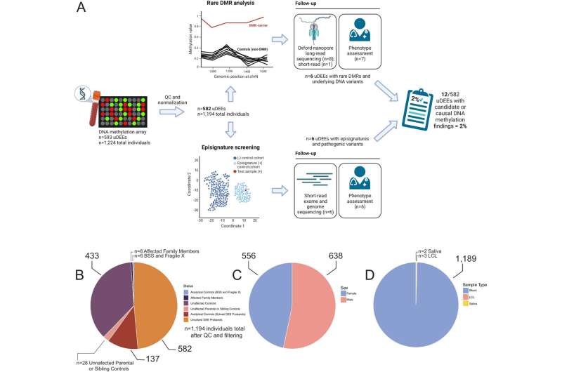 Scientists use DNA methylation patterns as roadmap for identifying causes of severe epilepsies in children