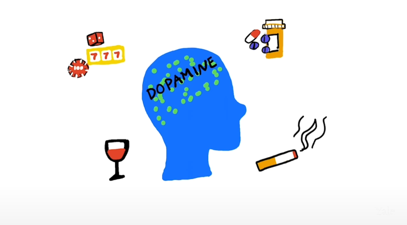 How an Addicted Brain Works