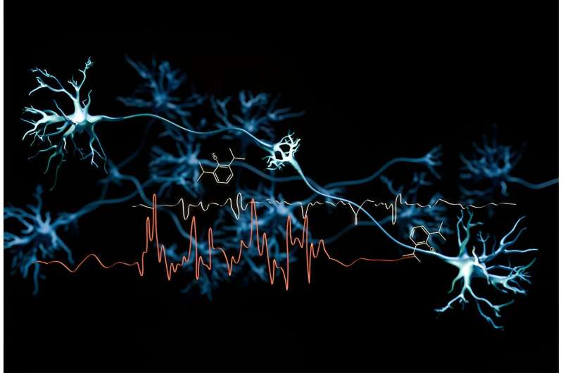 A new use for propofol in treating epilepsy?