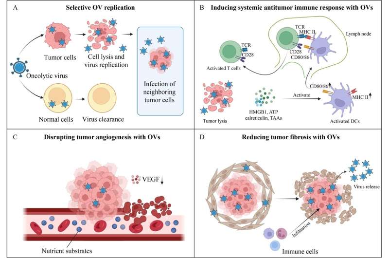 Immune landscape and response to oncolytic virus-based immunotherapy