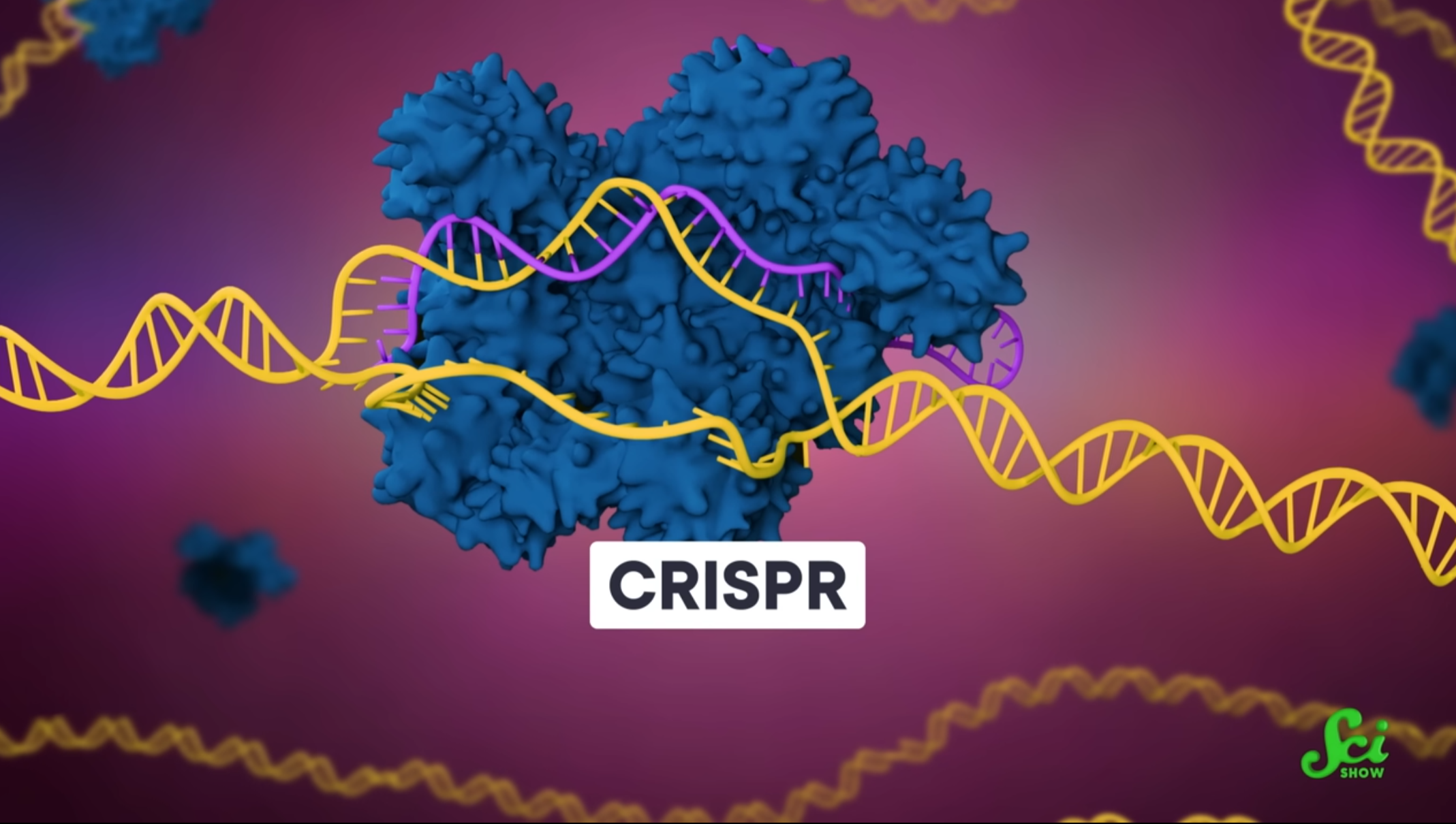 The First CRISPR Gene Therapy Is Here