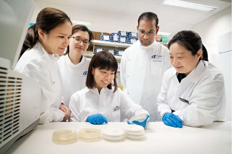 Singapore researchers discover new candida auris – a possible global public health threat