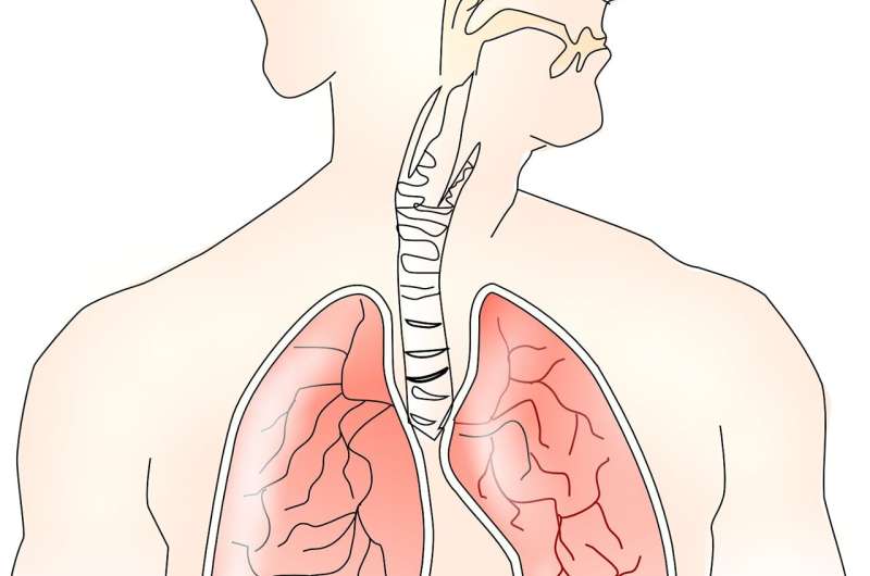 Breathing easier: Nature-inspired treatments could relieve acute respiratory distress