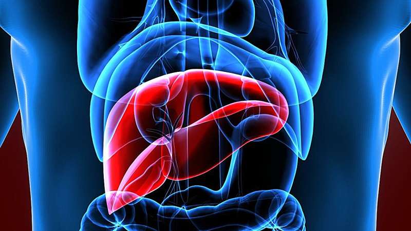 Study reveals MASLD, MetALD responsible for one-third of ICU cirrhosis cases