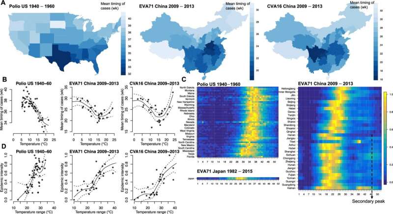 Future enterovirus outbreaks could be exacerbated by climate change