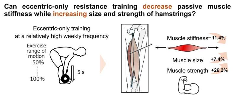 Study shows that eccentric-only resistance training can lower passive muscle stiffness