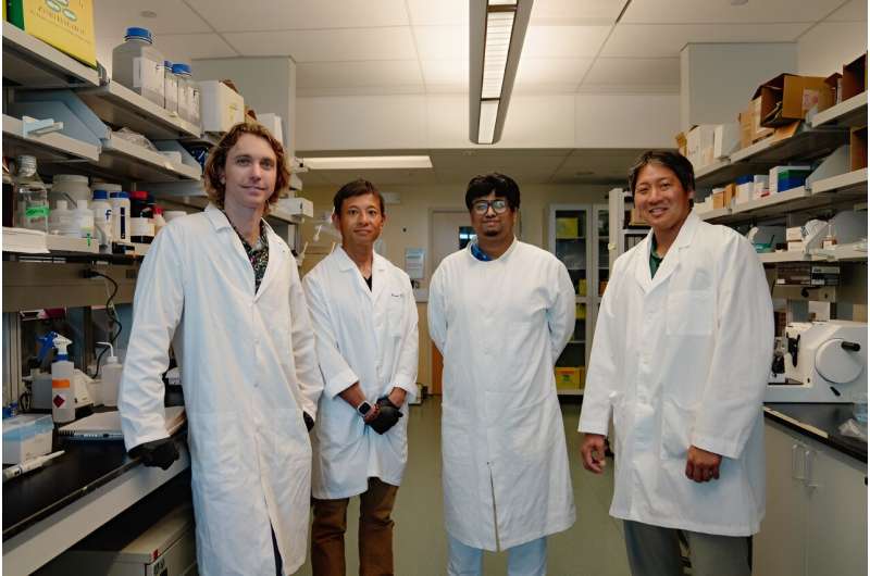 Gene therapy gets a turbo boost from University of Hawaii researchers