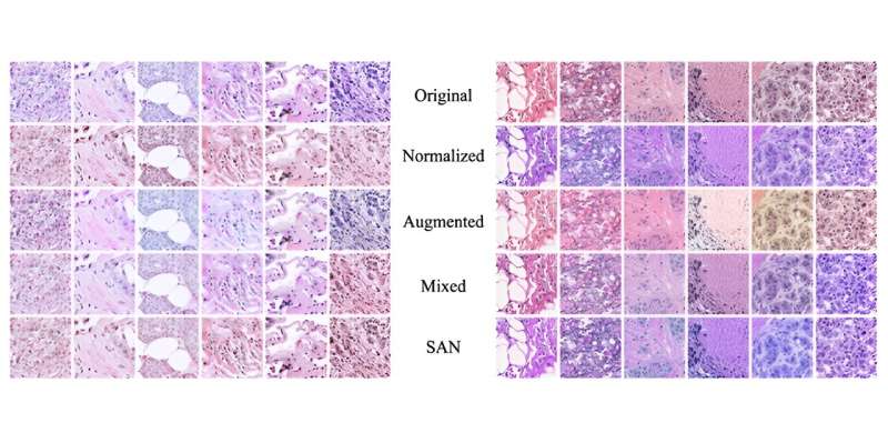 Color-adjusting technique for histopathology image datasets of stained tissue