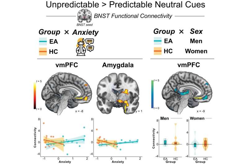 Brain shows changes in regions associated with anxiety after quitting alcohol