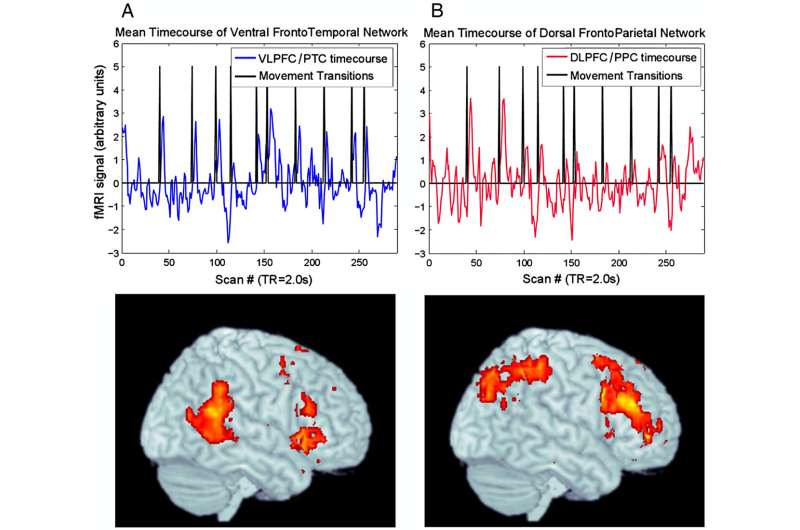 Tuning into transitions: how our brains cross musical boundaries