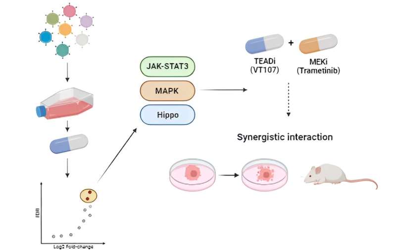 An ancient signaling pathway and 20 years of research offer hope for rare cancer