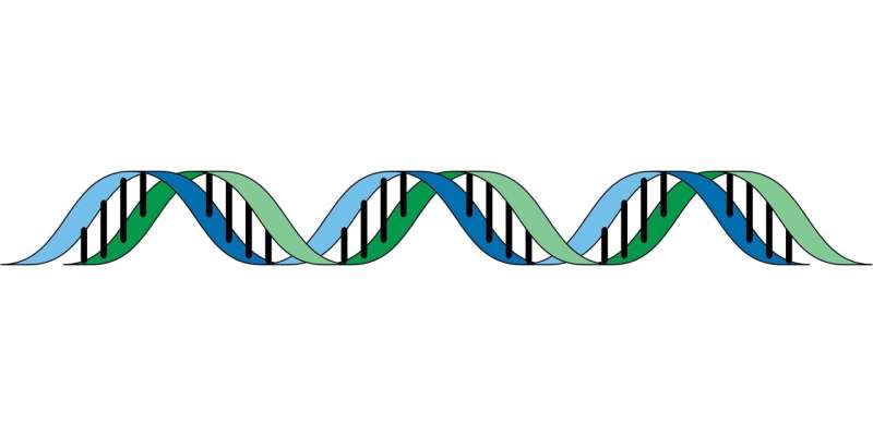 Editorial: Genotype matters—tailored screening for germline CHEK2 variants