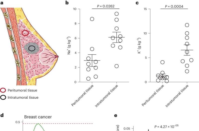 Common salt activates anti-tumor cells