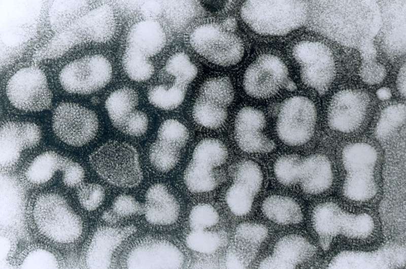 influenza A