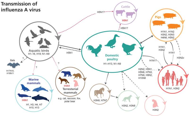 The next pandemic? How a familiar virus exploits new hosts