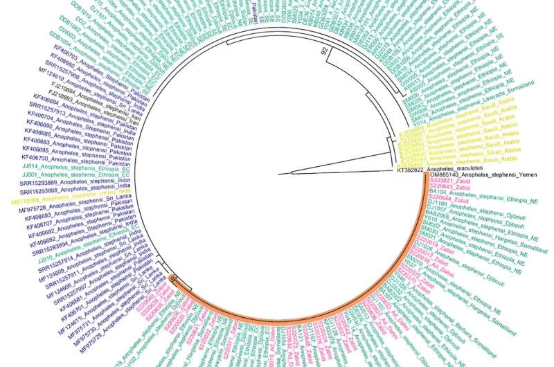 Research reveals spread of malaria-carrying Anopheles stephensi mosquitoes in Yemen