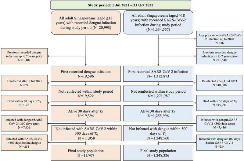 People who recover from dengue at higher risk of long-term health complications than those who recovered from COVID-19