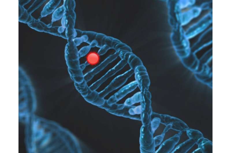 Study links gene mutations to heart rhythm risks seen in cancer patients