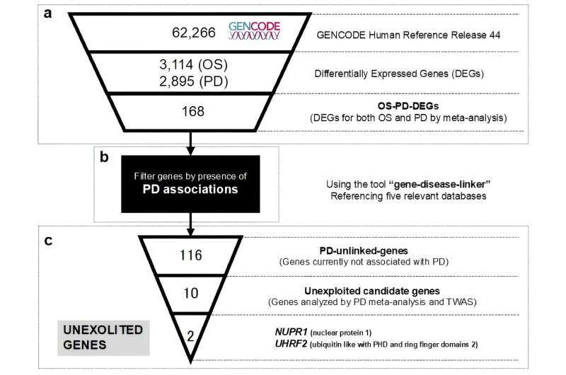 Parkinson's disease study develops analytical pipeline to identify unexploited genes