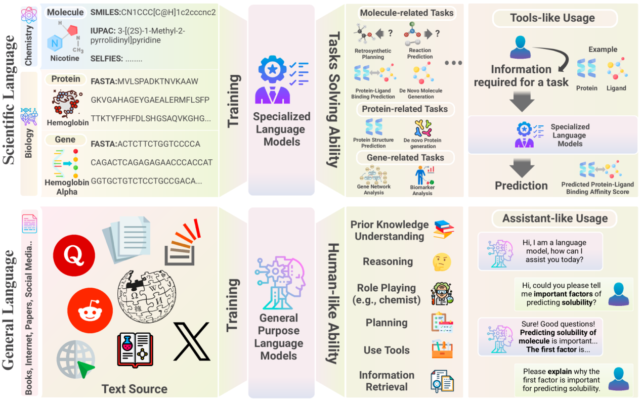 The two main paradigms of language models.