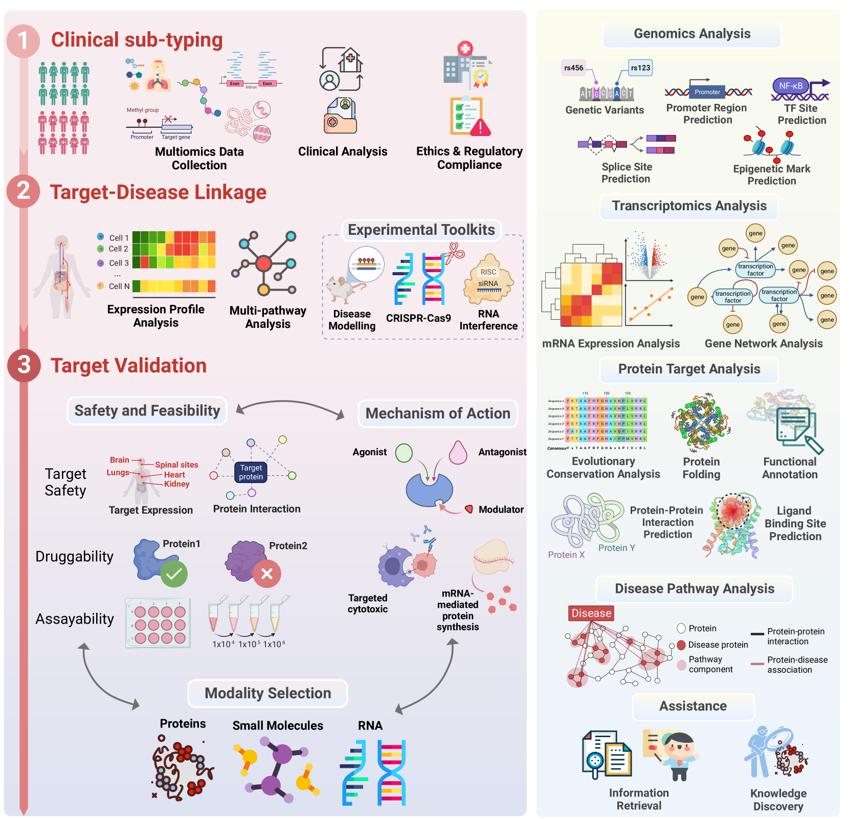 Figure 3-Understanding Disease Mechanisms.