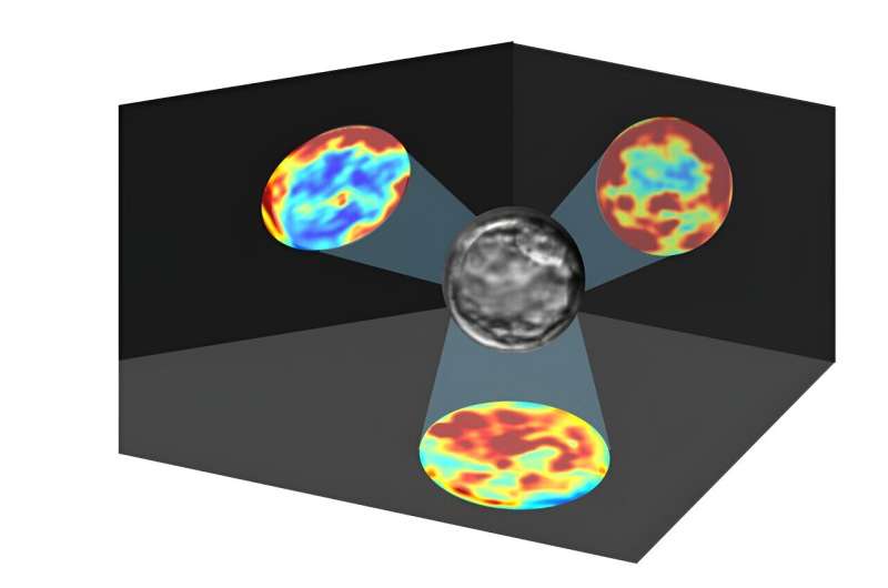 Computational method sheds light on how AI helps doctors decipher medical images