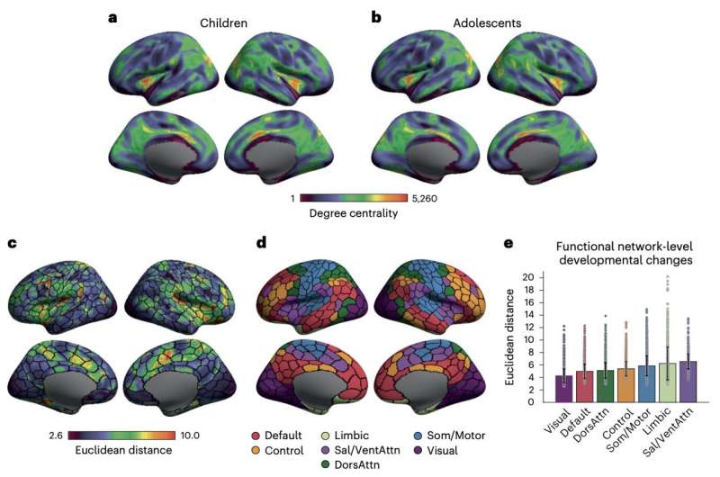 Study suggests that attention networks support changes in cortical organization and cognition during childhood