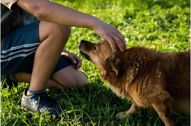 How human and dog interactions affect the brain