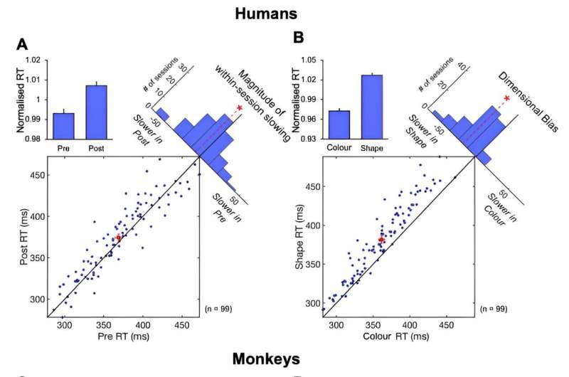 Study reveals how, when and where non-invasive brain stimulation influences neuronal activity and cognition