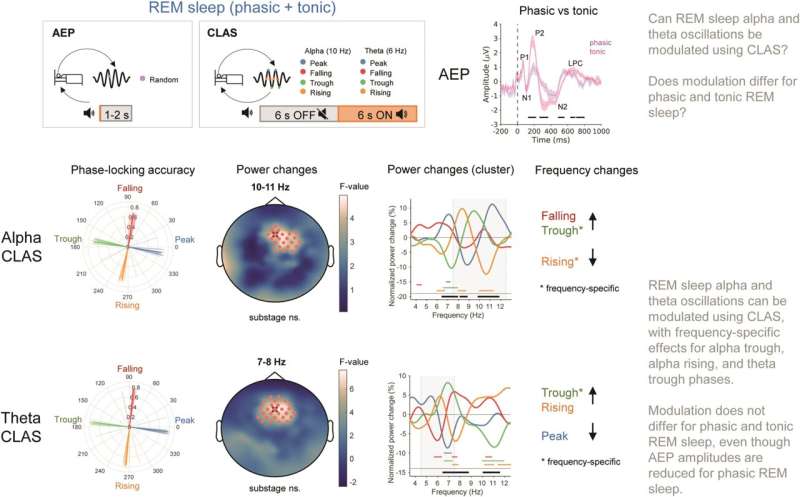 Study finds brain waves can be manipulated during REM sleep