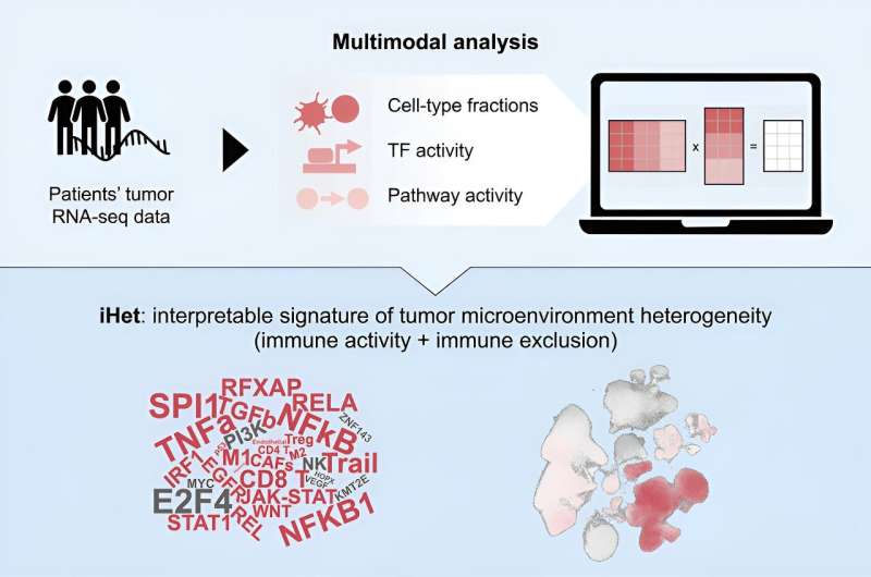 New multimodal signature could predict immunotherapy success