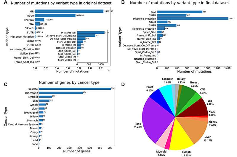 Researchers improve search for cancer drivers