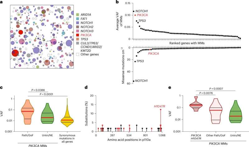 Common diabetes drug slows growth of normal cells carrying cancer mutation, finds study