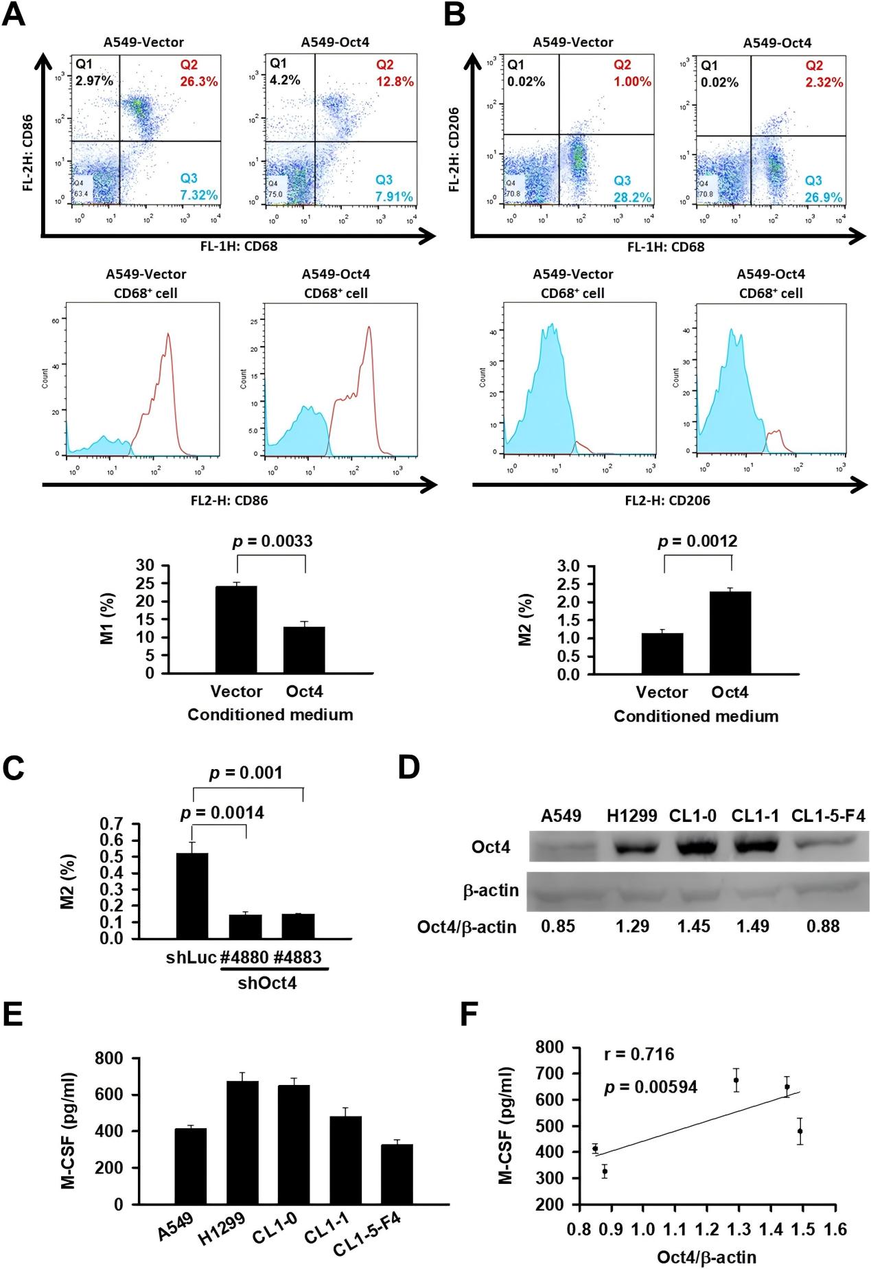 Interpreting and Commenting on the Role of Oct4 in M2 Macrophage Polarization and Tumor Progression in Lung Cancer 