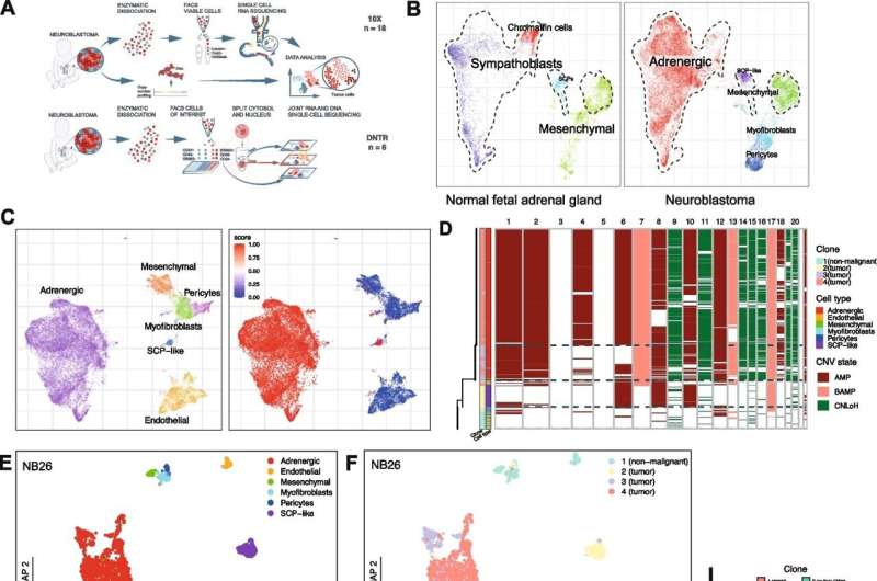 Discovery of a new tumor cell type in childhood cancer