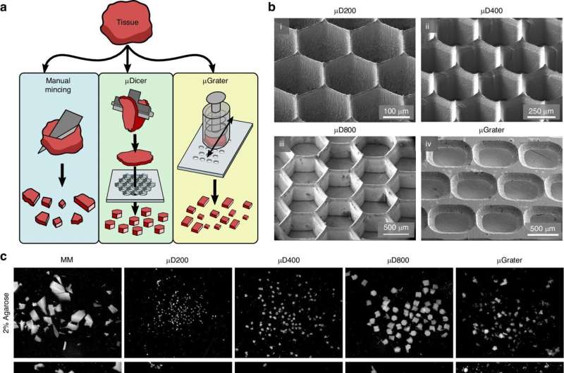 New precision tools make quick work of tumor dissection